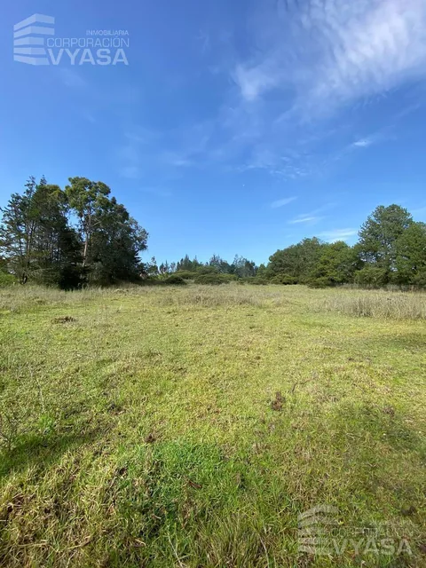 Puembo - Cerca Cruz de Piedra, Terreno de 13.000 m² en Venta — imagen 3