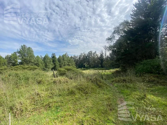 Puembo - Cerca Cruz de Piedra, Terreno de 13.000 m² en Venta — imagen 2