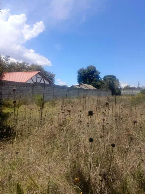 Terreno de Venta en La Mitad del Mundo Apto Para Constructoras — imagen 2