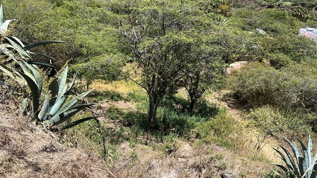 Tumbaco Terreno de Venta Urbanizacion La Viña — imagen 4