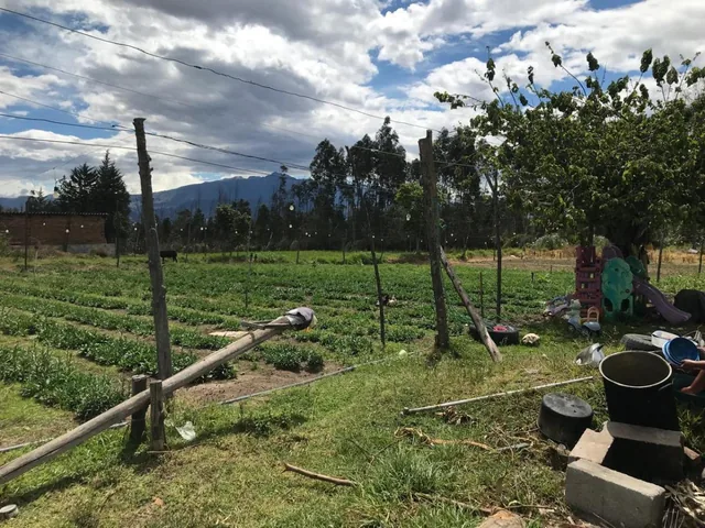 Terreno en Venta - Tababela 7228 m² — imagen 2