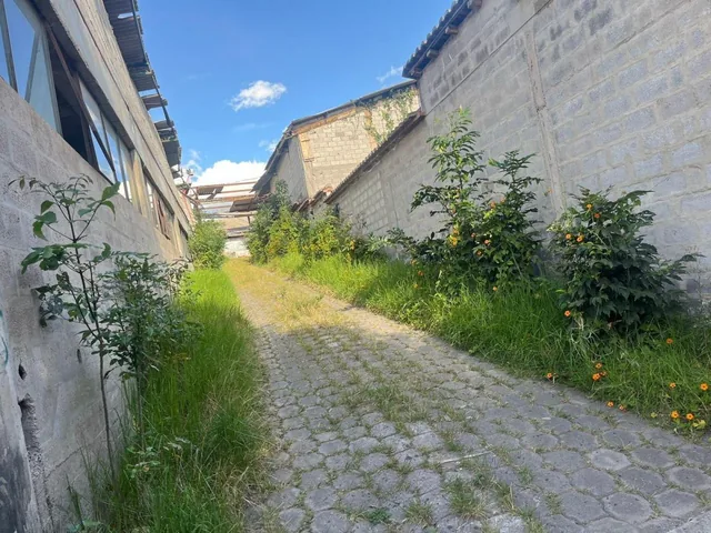 Terreno de Venta 7200 m La Cerámica Tumbaco — imagen 5
