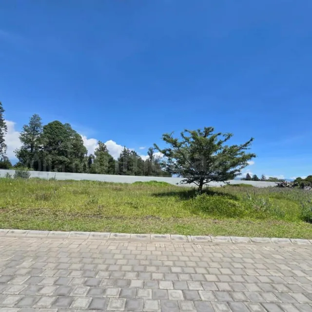 Vendo Terreno Plano en Puembo Sector Colegio Americano — imagen 5