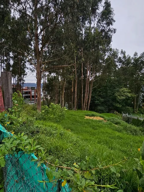 Terreno en Urbanizacion - Mariscal Sucre - Occidental — imagen 2