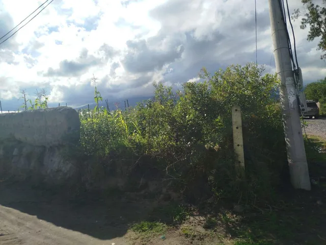 En San Pablo, con Hermosa Vista a La Laguna Se Vende, Imbabura — imagen 2