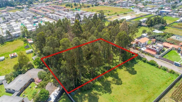 Terreno en Venta 384 m², Buenos Aires - Sector San Isidro del Inca — imagen 5