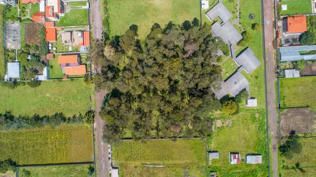 Terreno en Venta 384 m², Buenos Aires - Sector San Isidro del Inca — imagen 4
