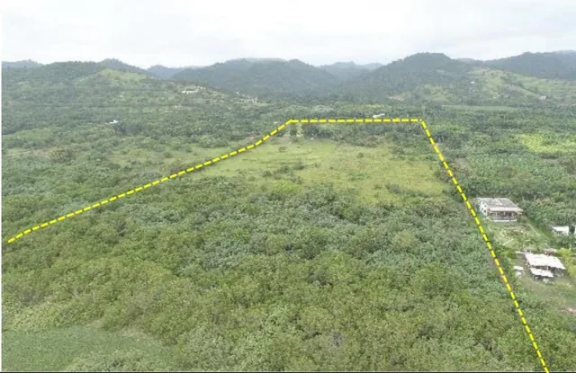 Vendo Macrolote de 20 Ha en Sector de Ayampe Ecuador, Manabí — imagen 2
