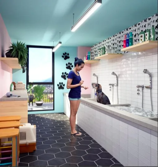 Departamento en Venta Sector Itchimbia — imagen 5