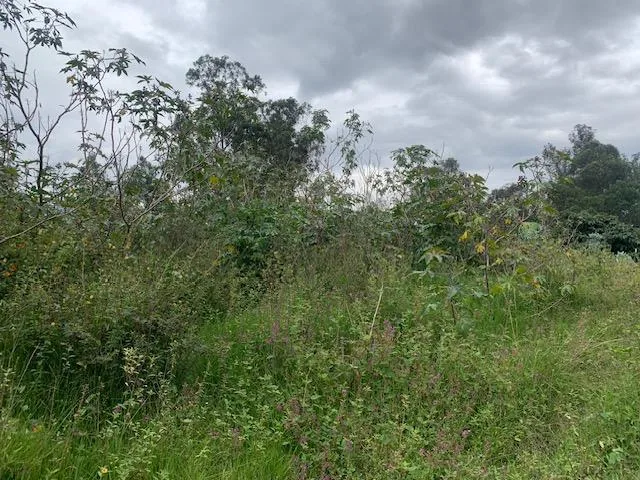 Terreno de Venta en Tumbaco Sector La Morita — imagen 5