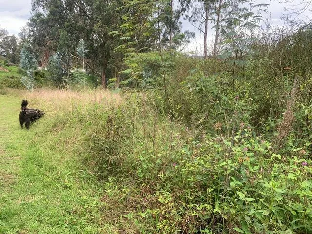 Terreno de Venta en Tumbaco Sector La Morita — imagen 4