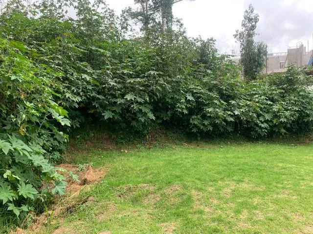 Terreno de Venta en Tumbaco Sector La Morita — imagen 2