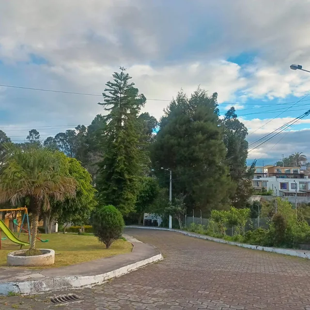 Vendo Casa La Armenia — imagen 4