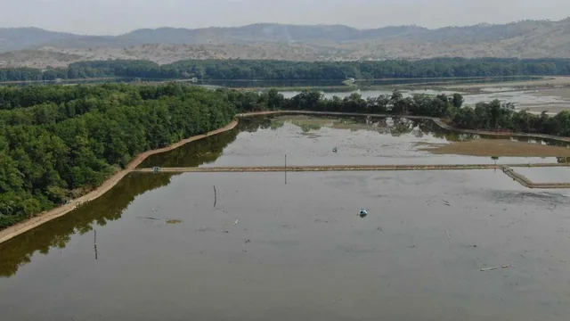 Camaronera de Venta en Tosagua Manabi Ar, Manabí — imagen 3