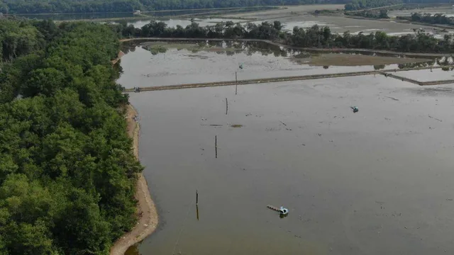 Camaronera de Venta en Tosagua Manabi Ar, Manabí — imagen 2