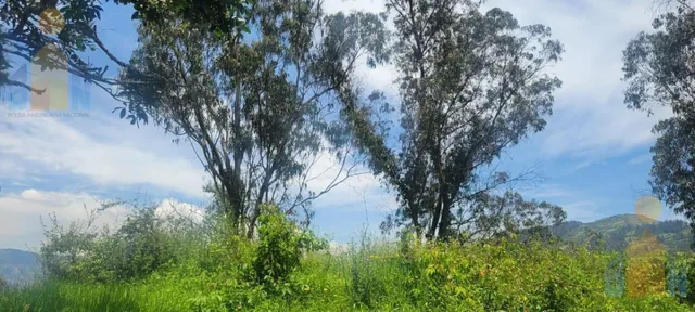 Terreno en Venta - Sector Alangasi — imagen 5