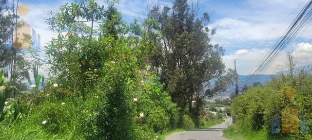 Terreno en Venta - Sector Alangasi — imagen 3