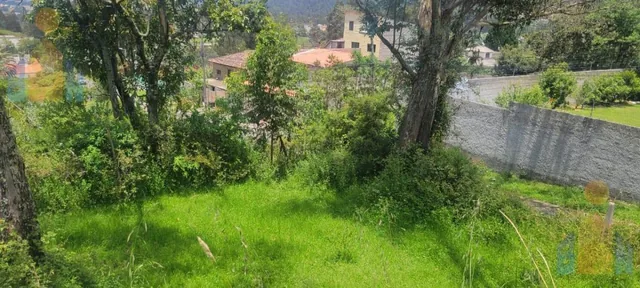 Terreno en Venta - Sector Alangasi — imagen 2