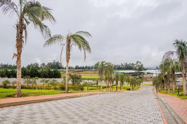 Terreno de 630 m² en Venta en Puembo con Guardianía — imagen 5