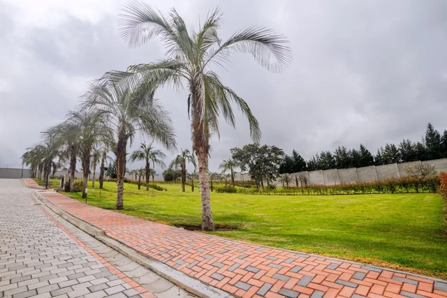 Terreno de 630 m² en Venta en Puembo con Guardianía — imagen 3