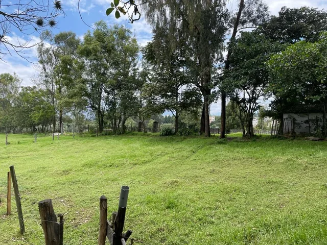 Vendo Hermosa Propiedad en La Zona Central de Sangolqui, con Casa Cololnial — imagen 5