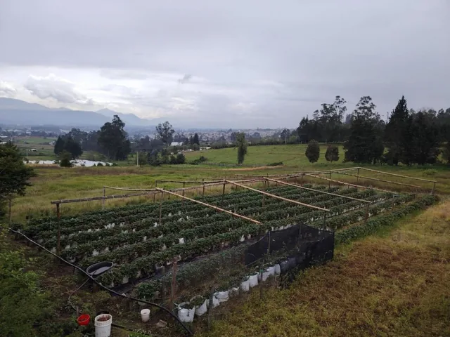 Venta Terreno Sector Yaruqui — imagen 3
