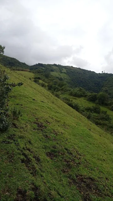 Oportunidad de Inversión – 20 Hectáreas en El Sur de Quito — imagen 3