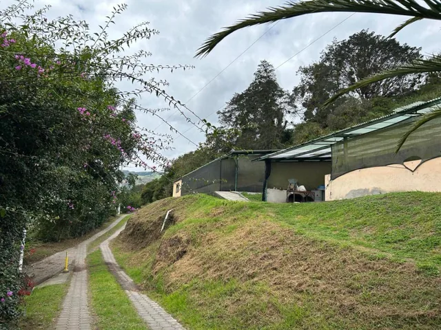 Se Vende Finca en Perucho Via a San Jose de Minas — imagen 5