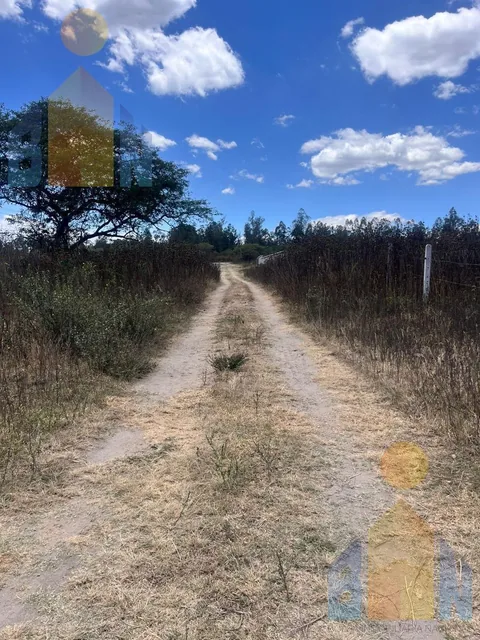Terreno de Venta en Puembo Cerca de Arrayanes — imagen 2