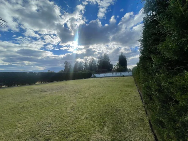 Terreno de 1246 m² en Venta en Puembo Dentro de Urbanización — imagen 3