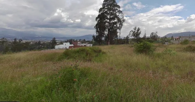 Terreno en Venta Llano Grande 6265 m² — imagen 3