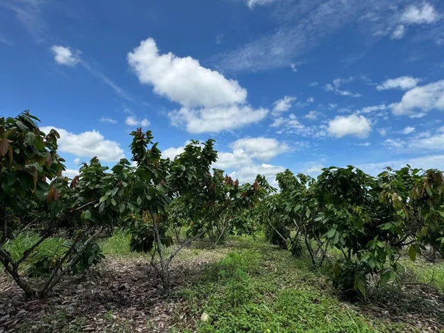 Vendo Hacienda en Sector Churute Guayas, Guayas — imagen 4