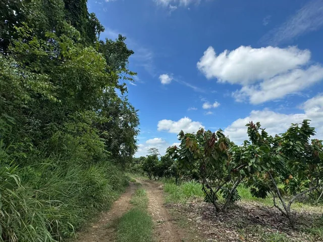 Vendo Hacienda en Sector Churute Guayas, Guayas — imagen 3