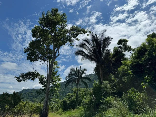 Vendo Hacienda en Sector Churute Guayas, Guayas — imagen 2