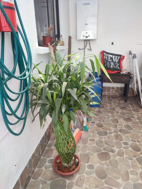 Amplia Casa de 183 m² en Venta en El Valle de Los Chillos — imagen 2
