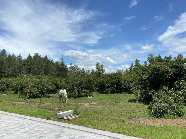 Checa Urbanización Privada — imagen 3