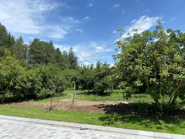 Checa Urbanización Privada — imagen 2