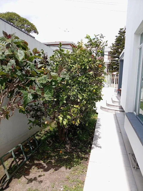 Casa con 3 Recámaras en Venta en Cumbayá, 315 m² de Terreno — imagen 5