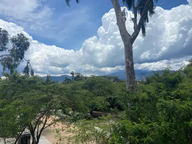 Vive Rodeado de Naturaleza — imagen 2