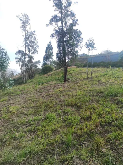 Vendo en Cumbaya, Terreno 1.171 m², con Vista, Sector Santa Ines! Excelente Opción! — imagen 3