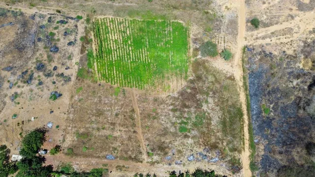 Venta de 41.7 Hectáreas en Posorja de Uso Mixto, Guayas — imagen 5