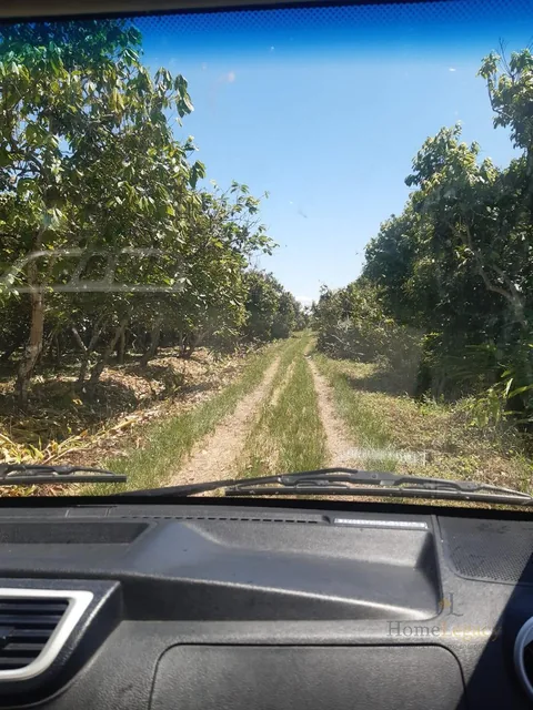 Haciendas en Venta – Inversión Estratégica Norte de Naranjal Am, Guayas — imagen 5