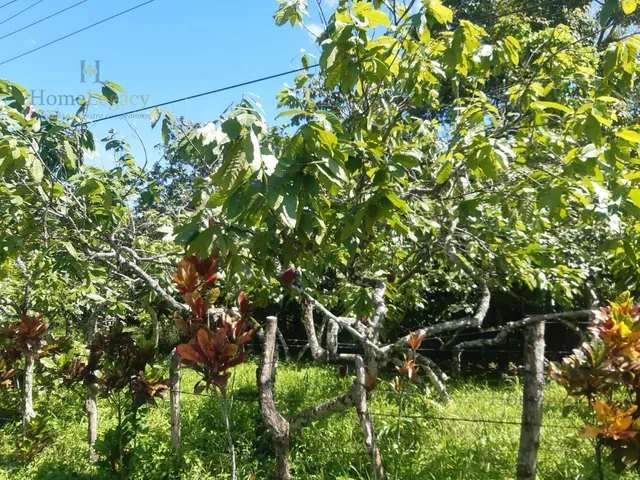 Haciendas en Venta – Inversión Estratégica Norte de Naranjal Am, Guayas — imagen 4