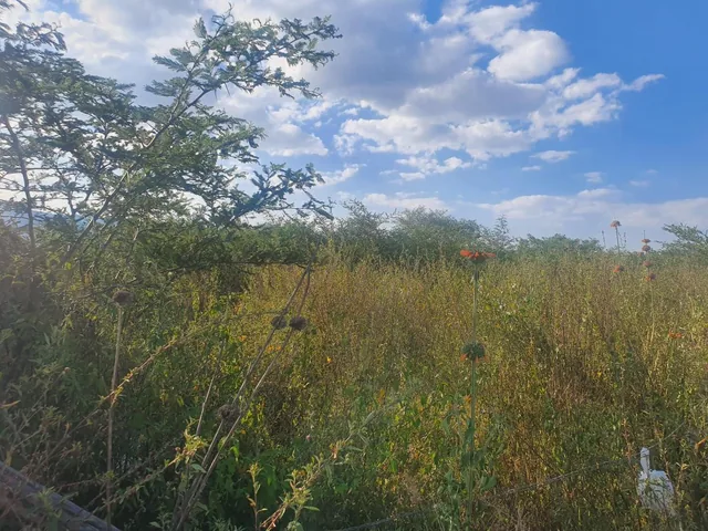"Terreno de 6000 m² en Venta Tumbaco, Santa Rosa, Derechos y Acciones." — imagen 5