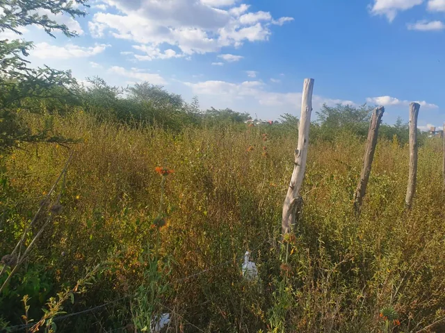 "Terreno de 6000 m² en Venta Tumbaco, Santa Rosa, Derechos y Acciones." — imagen 4