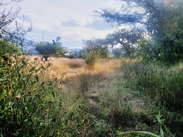 "Terreno de 6000 m² en Venta Tumbaco, Santa Rosa, Derechos y Acciones." — imagen 3