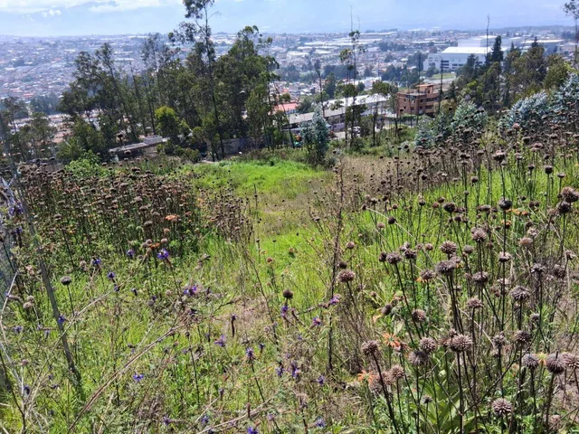Vendo Terreno Oportunidad Panamerica Norte Cerca Portal Shopping — imagen 5