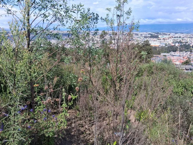 Vendo Terreno Oportunidad Panamerica Norte Cerca Portal Shopping — imagen 2