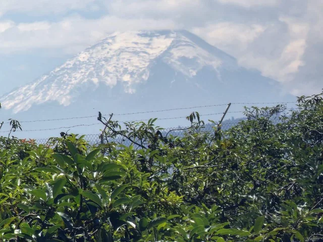 Vendo Terrenos Urbanización Privada Puembo — imagen 3