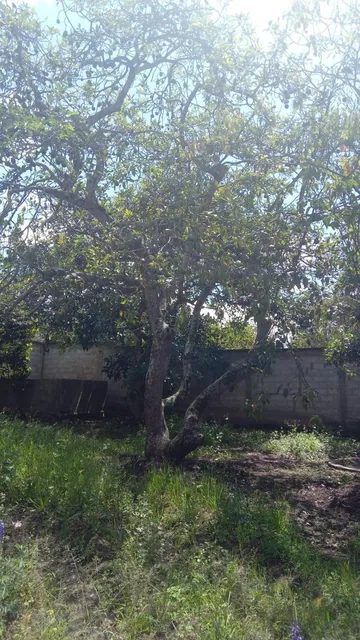 Terreno en Venta en Puembo, Ideal Para Lotizar, alto Cos, Excelente Ubicación, en Conjunto Privado — imagen 2